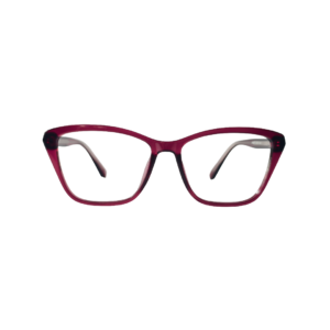 WORLD SUPER VISION
