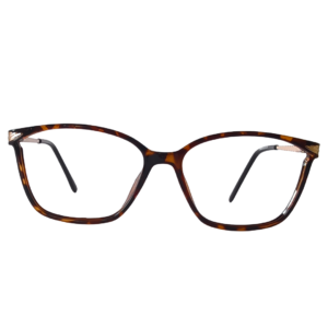 WORLD SUPER VISION